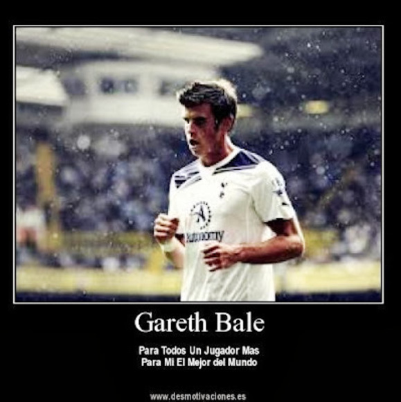 Meet your Posher, Alejo - Picture 1 of 1